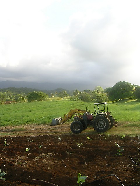 Paysage agricole