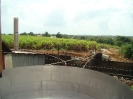Cuve de distillerie sur fond de champ de canne à sucre à Sainte-Rose