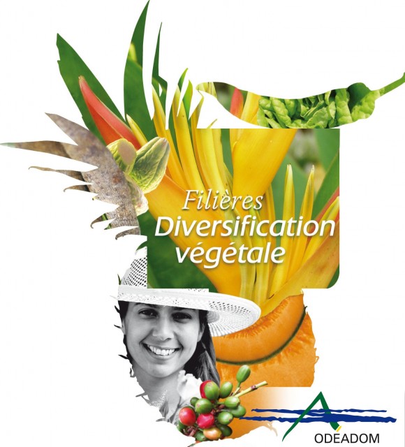 Visuel ODEADOM des Filières Végétales de diversification